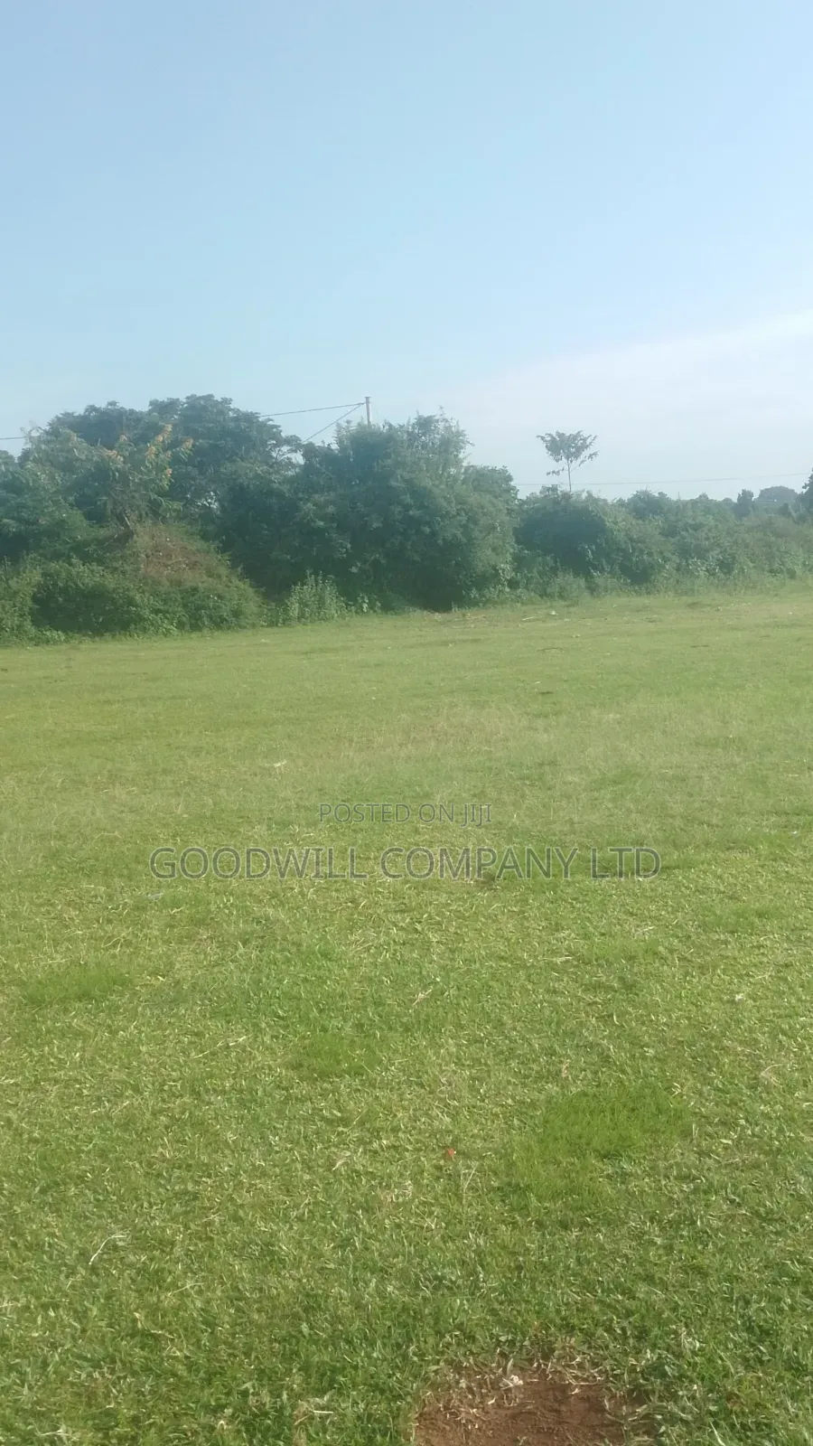 2 Acres of Beach Land in Kiyindi Nkokonjeru Touching on Lake Victoria in Central Division