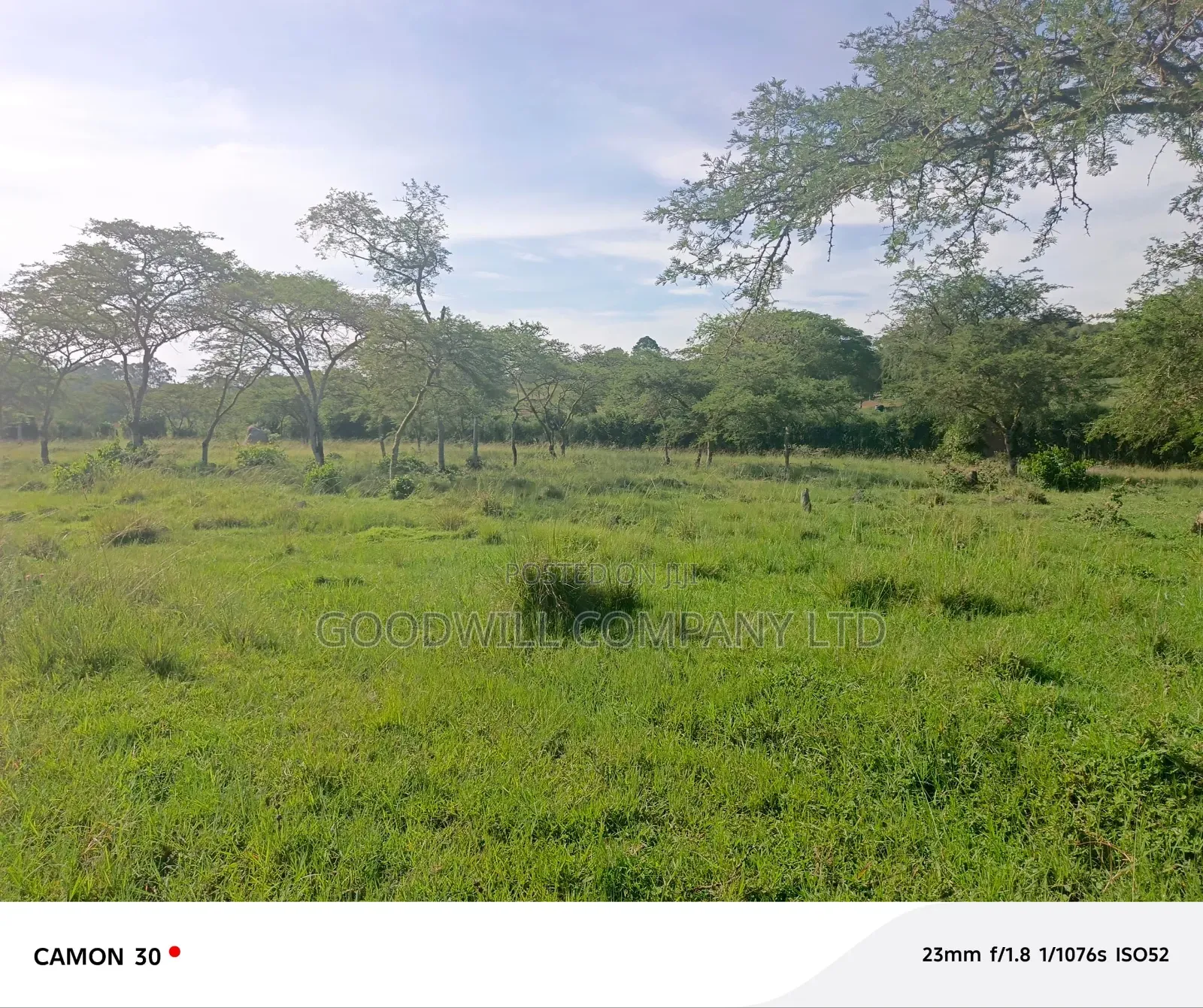 378 Acres Of Land In Sembabule (30 Acres Are Coffee Plantation) in Central Division