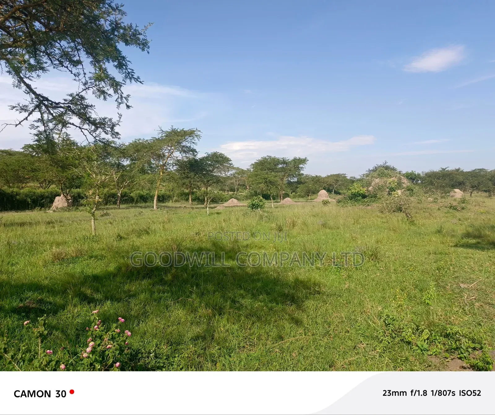 378 Acres Of Land In Sembabule (30 Acres Are Coffee Plantation) in Central Division