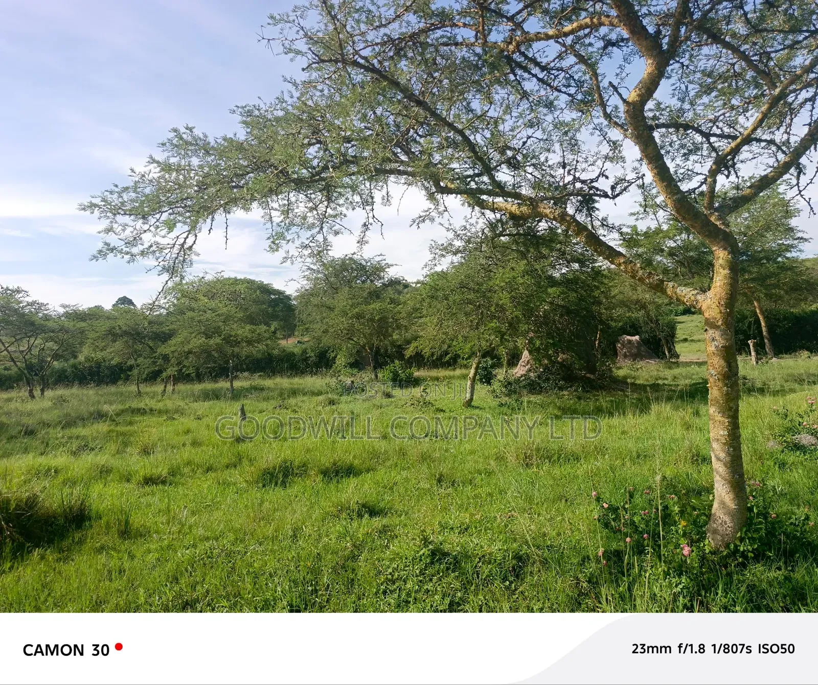 378 Acres Of Land In Sembabule (30 Acres Are Coffee Plantation) in Central Division