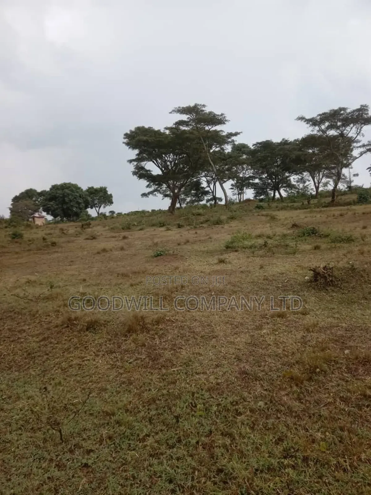 100 Acres of Land in Kalungu District Before Masaka in Central Division