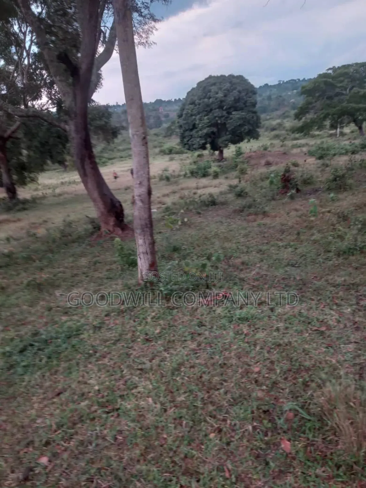 100 Acres of Land in Kalungu District Before Masaka in Central Division