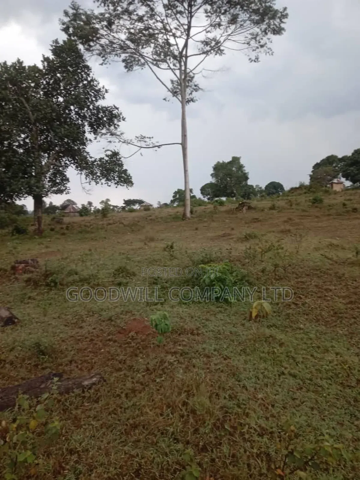 100 Acres of Land in Kalungu District Before Masaka in Central Division