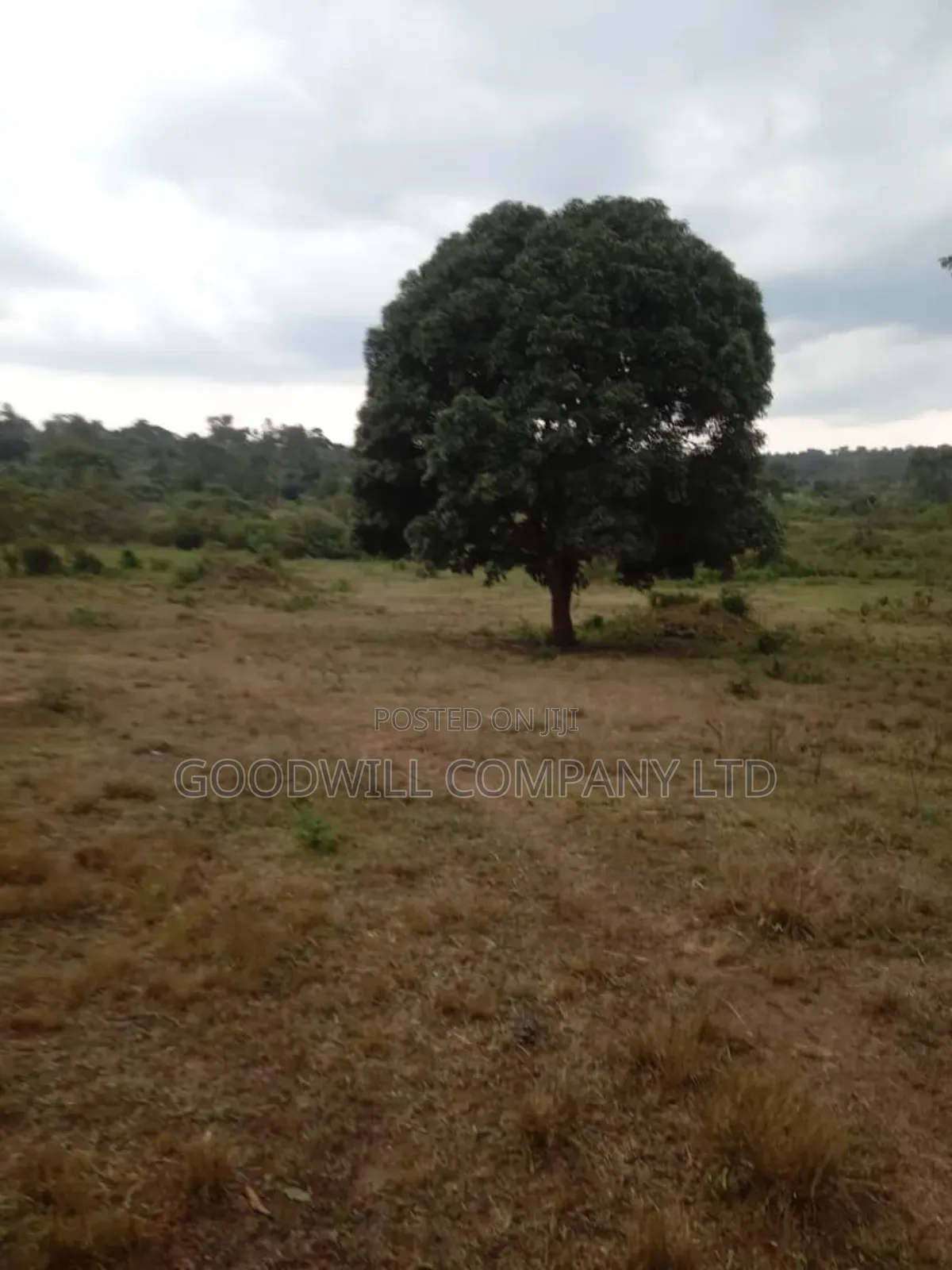 100 Acres of Land in Kalungu District Before Masaka in Central Division