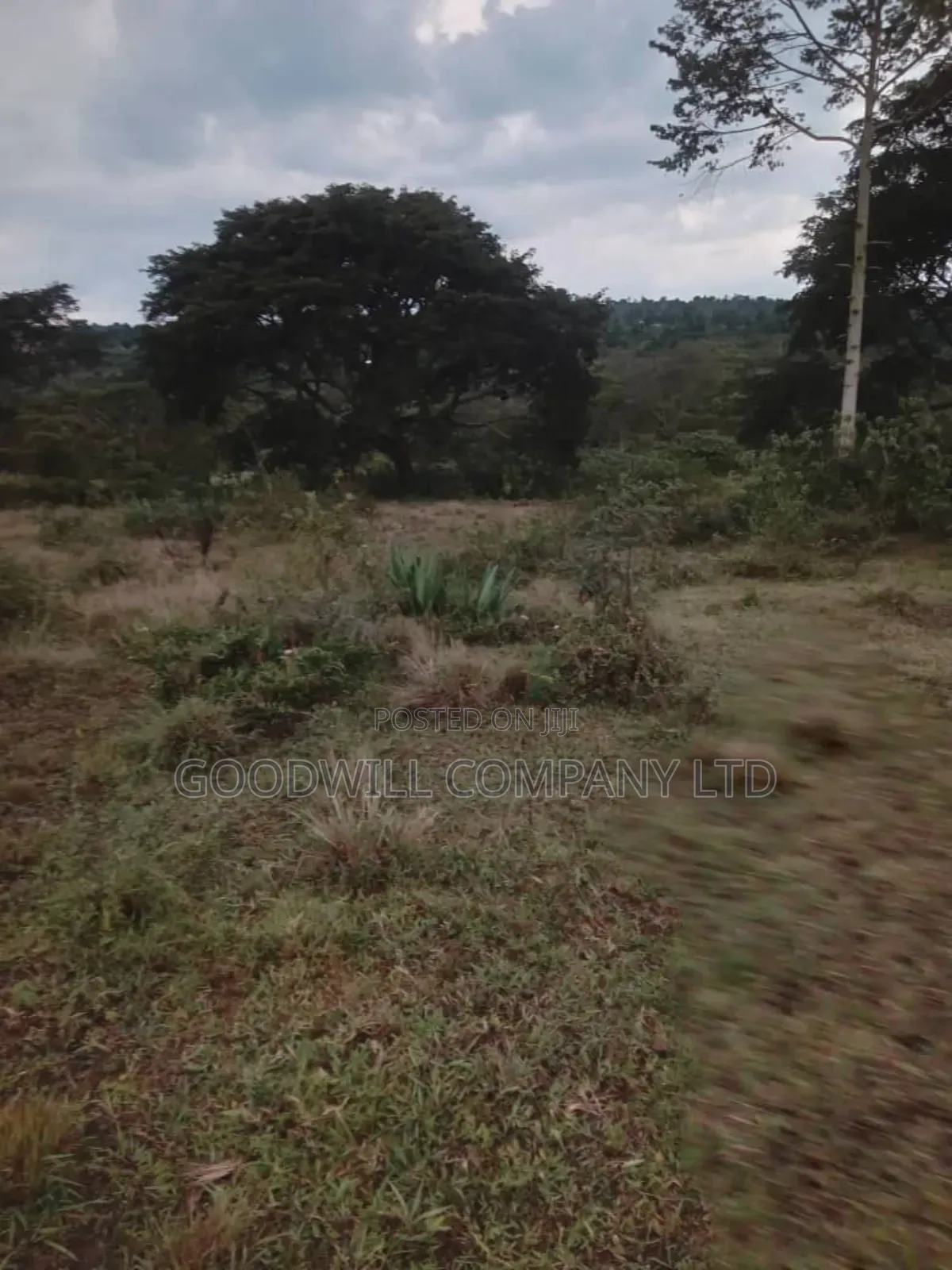 100 Acres of Land in Kalungu District Before Masaka in Central Division