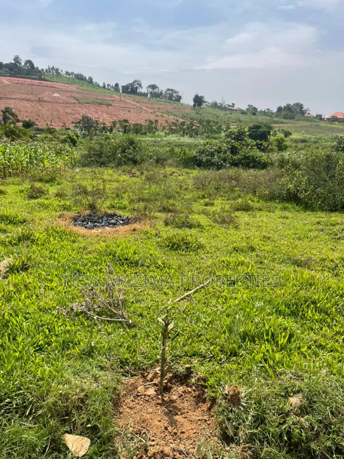 Affordable Plots on Quicksale in Nakawuka Bulwanyi With Title on Table in Central Division