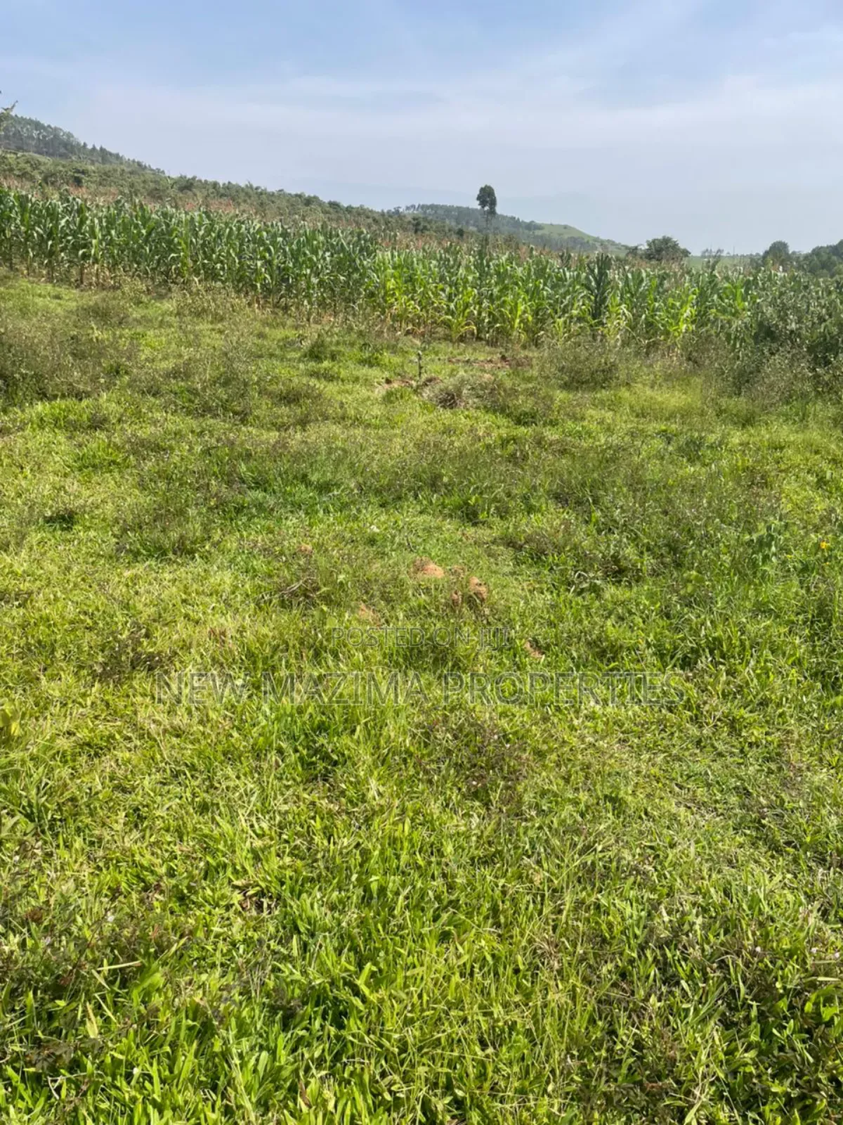 Affordable Plots on Quicksale in Nakawuka Bulwanyi With Title on Table in Central Division