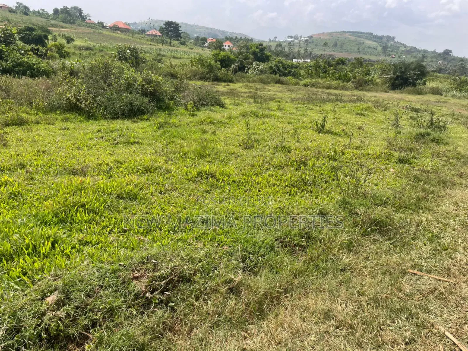 Affordable Plots on Quicksale in Nakawuka Bulwanyi With Title on Table in Central Division
