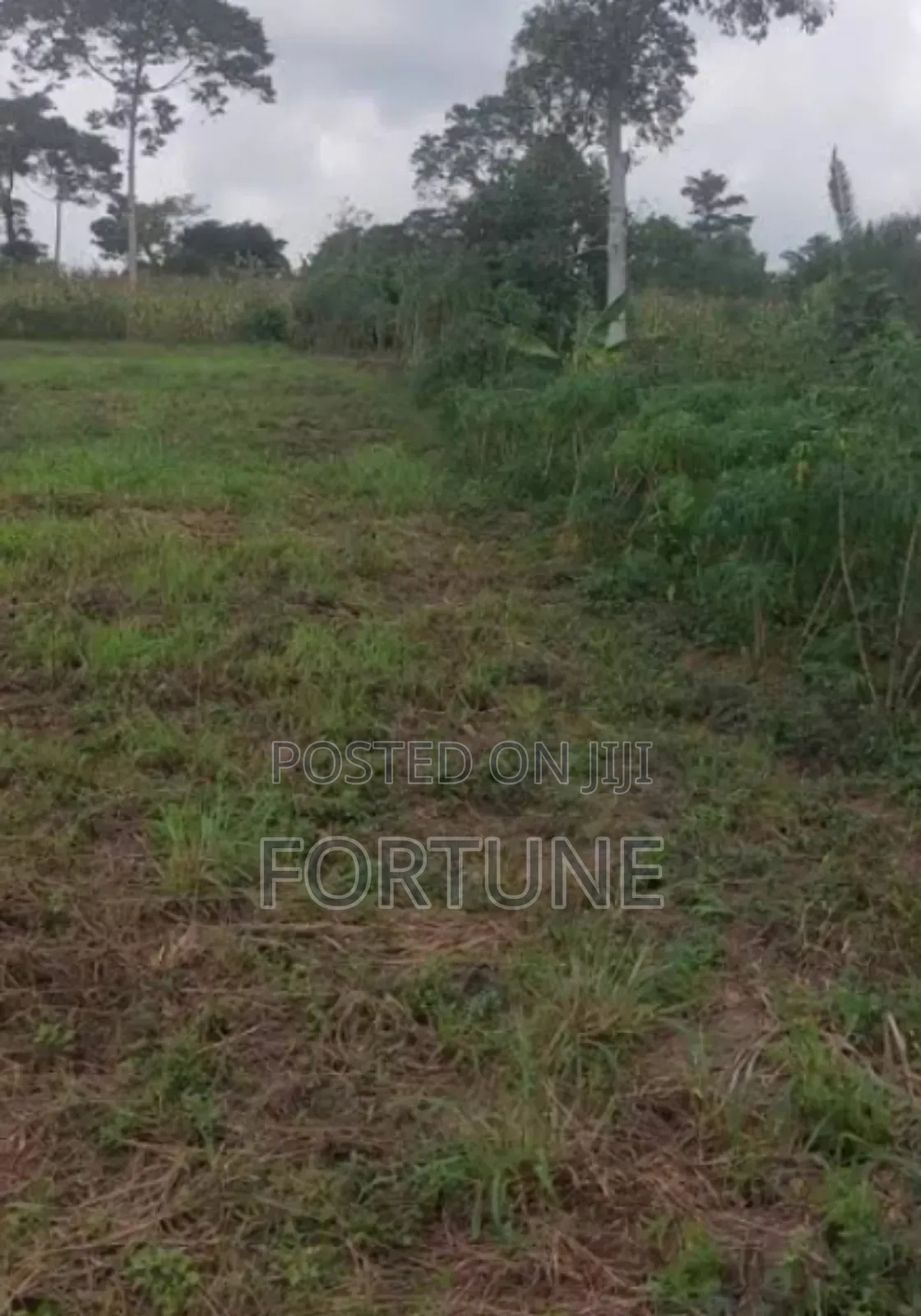 Village Land in Masulita