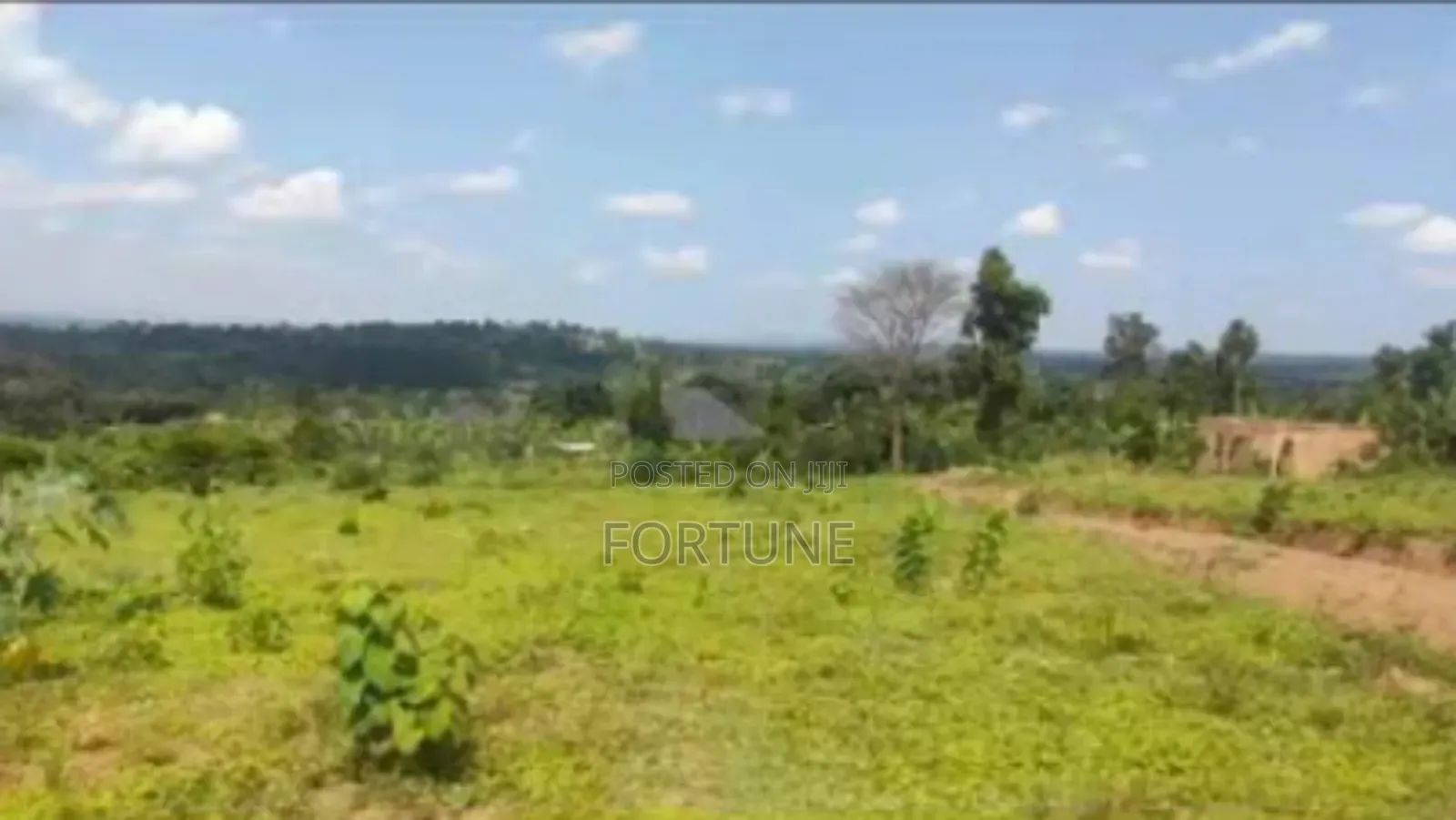 Village Land in Masulita