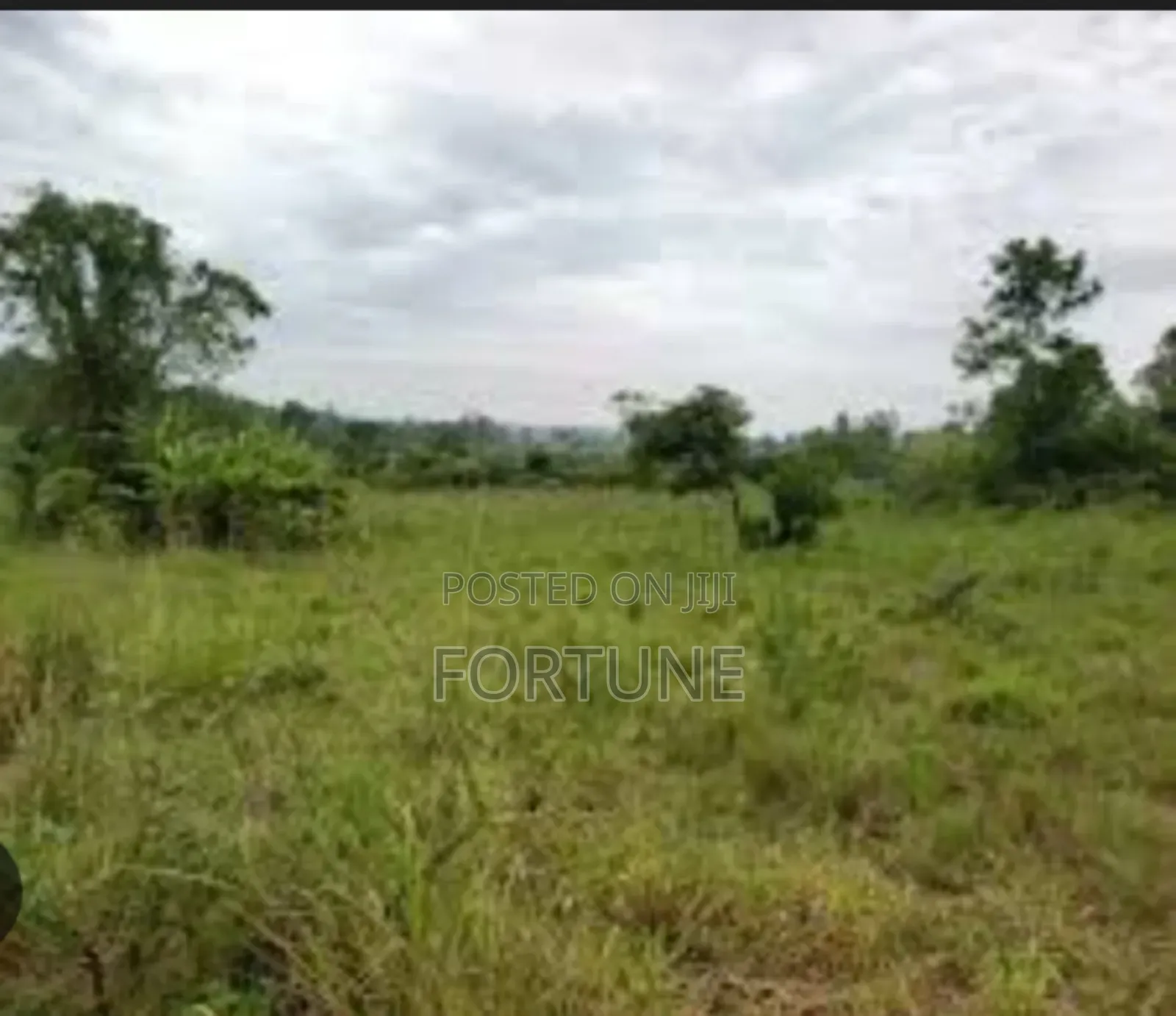 Land for Farming in Masulita