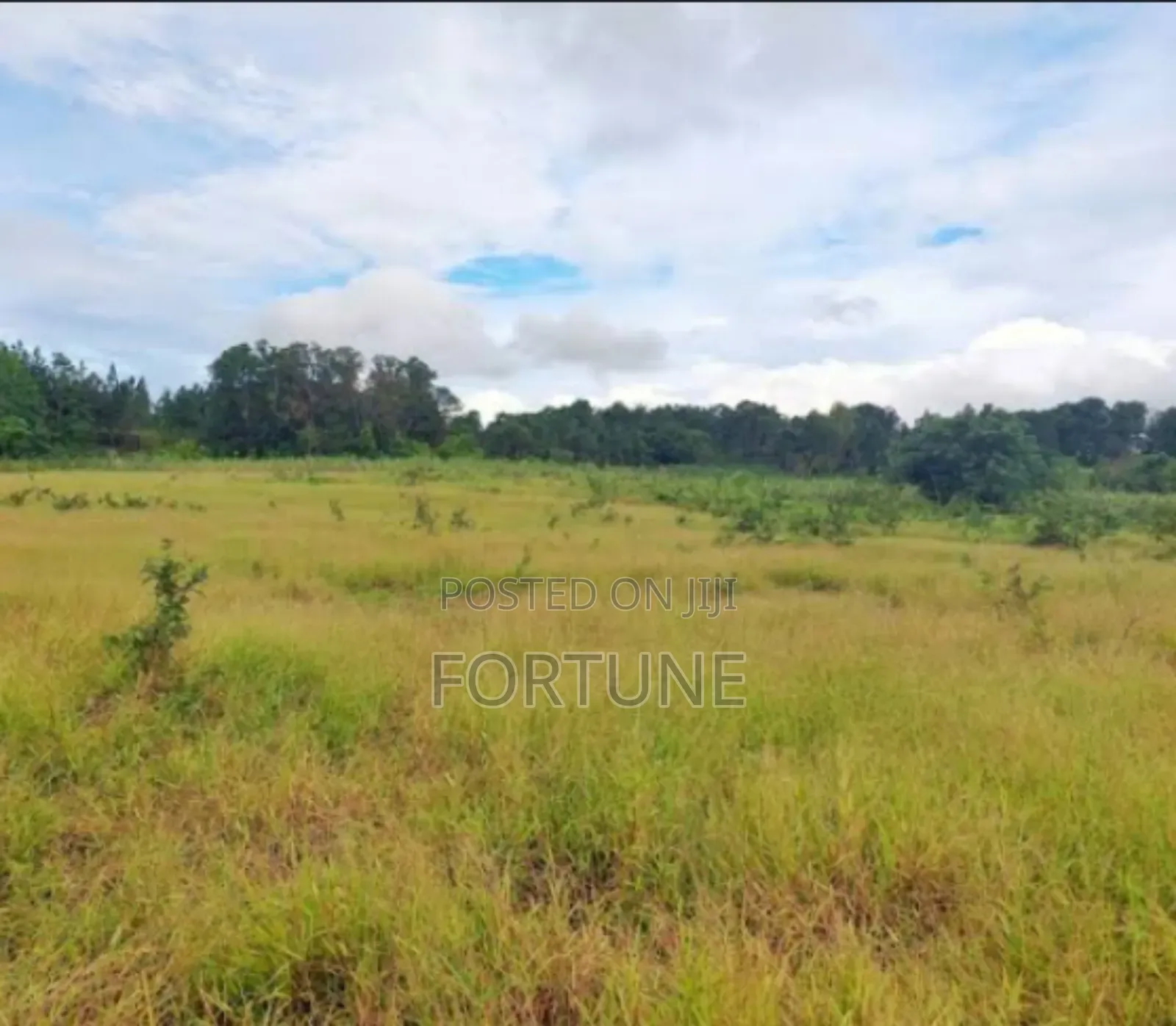 Land for Farming in Masulita