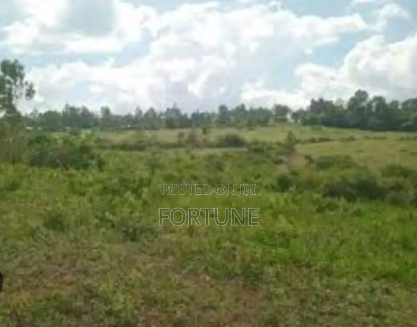Land for Project Farm in Masulita