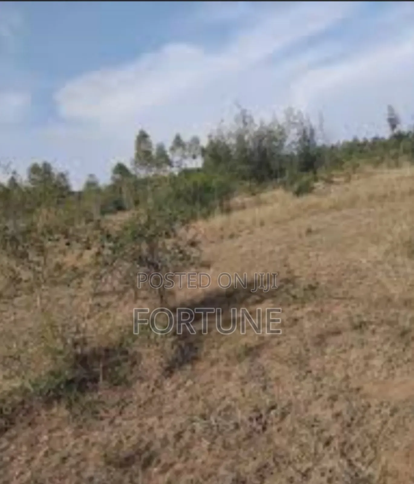 Land for Project Farm in Masulita