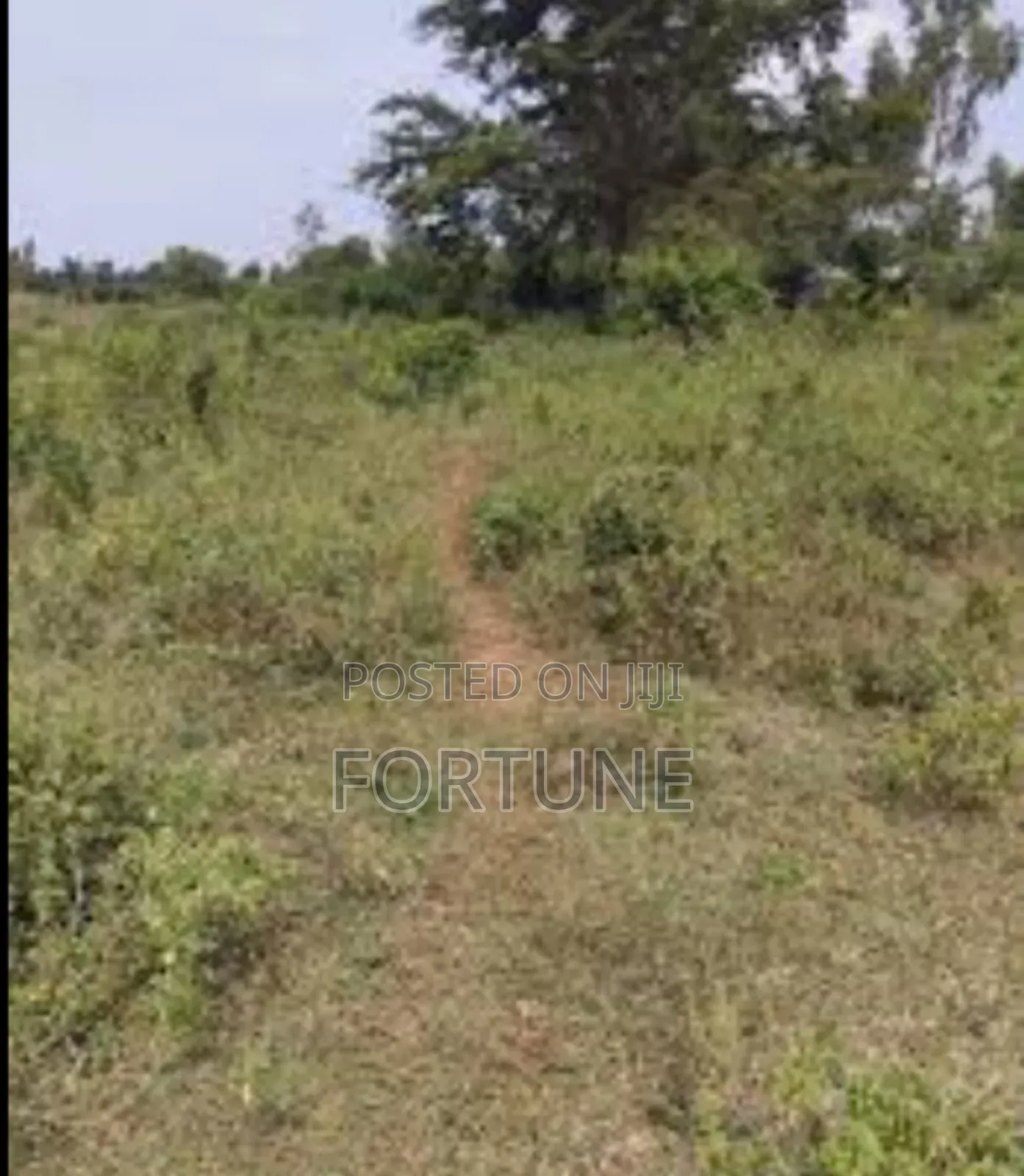 Project Land for Agriculture in Masulita