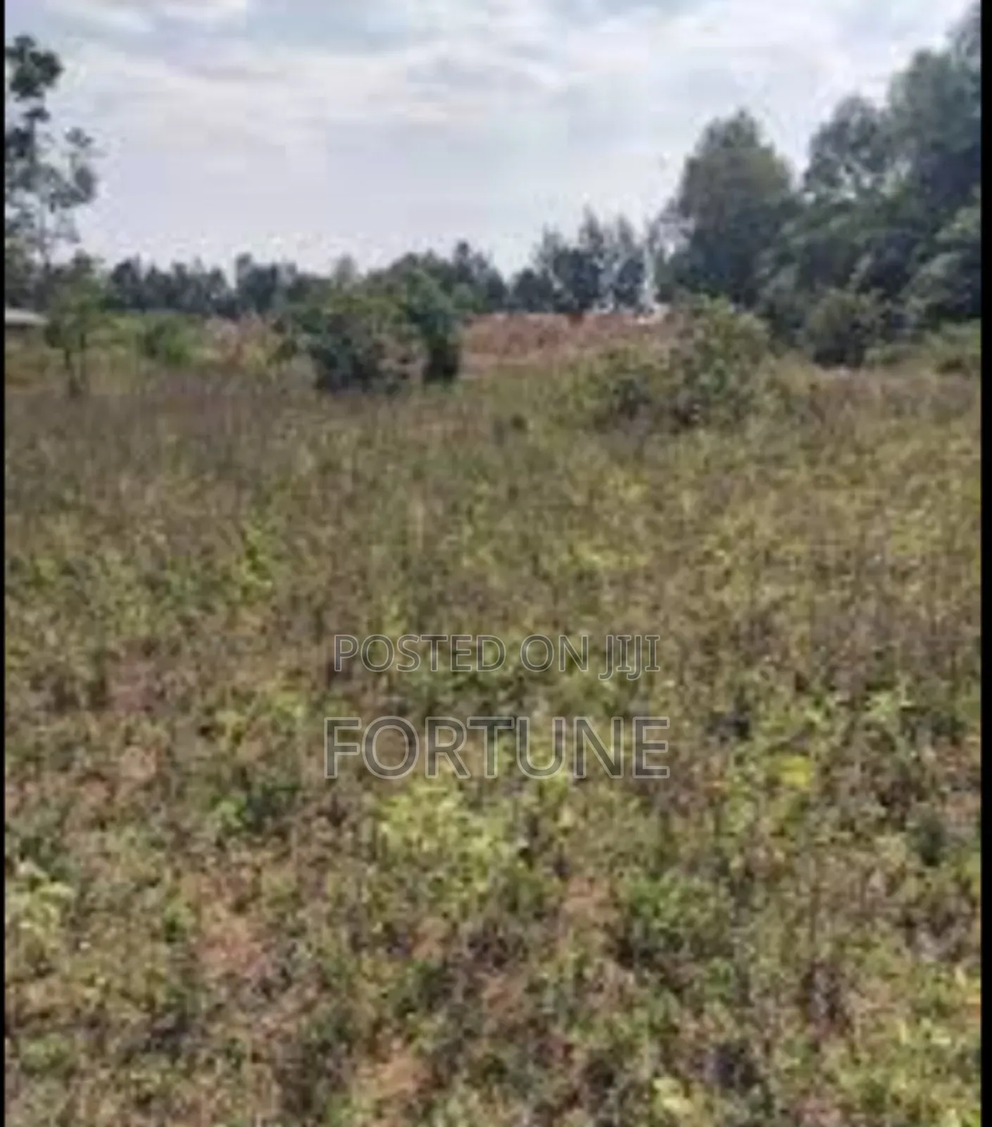 Project Land for Agriculture in Masulita
