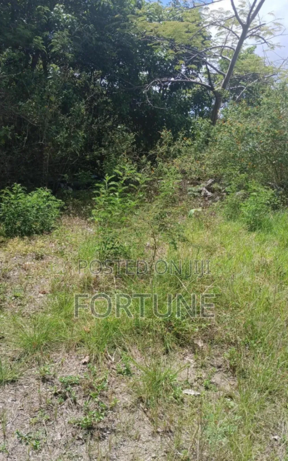 Brick Project Land in Masulita