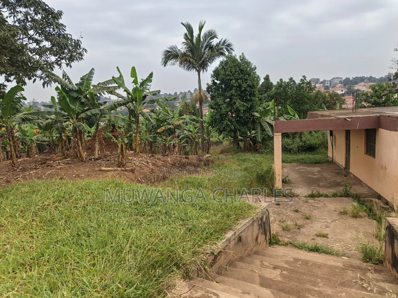 6acres on Quick Sale in Gayaza Masooli in Central Division