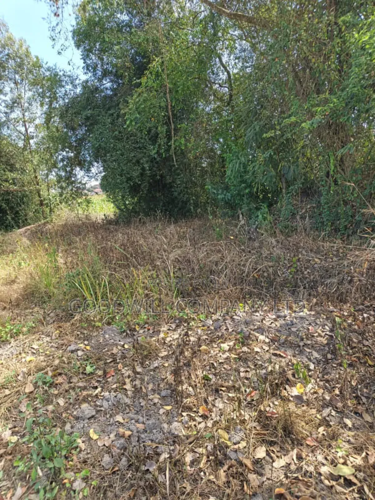 37 Decimals Plot of Land in Kyanja Kungu in Central Division