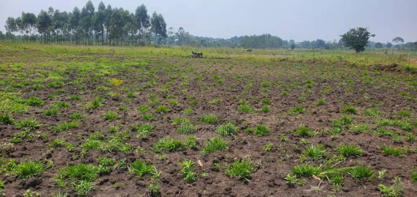3 Acres Touching the River Nile,Kangulumira, Priced 190million Ugx. in Kayunga / Kayunga