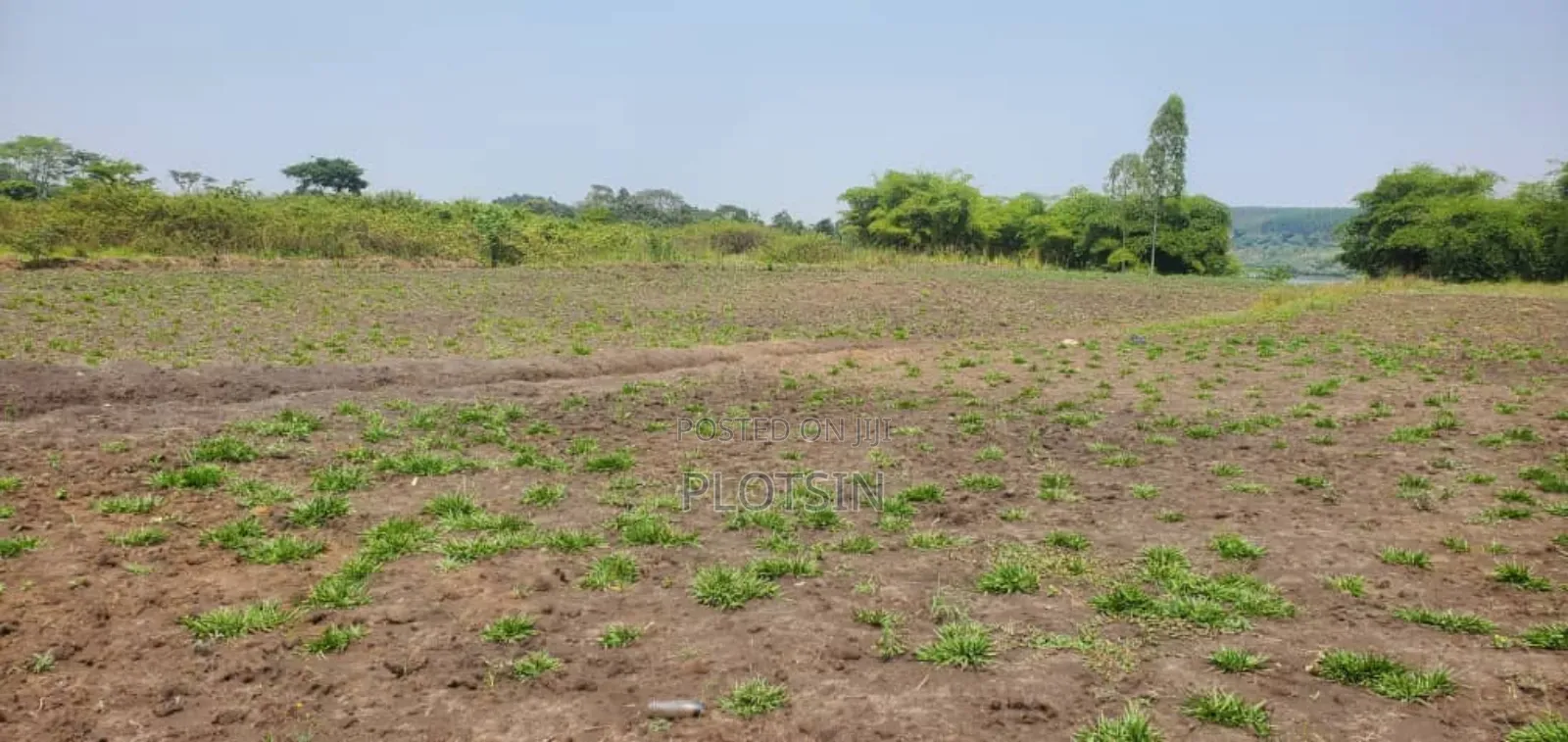 3 Acres Touching the River Nile,Kangulumira, Priced 190million Ugx. in Kayunga / Kayunga