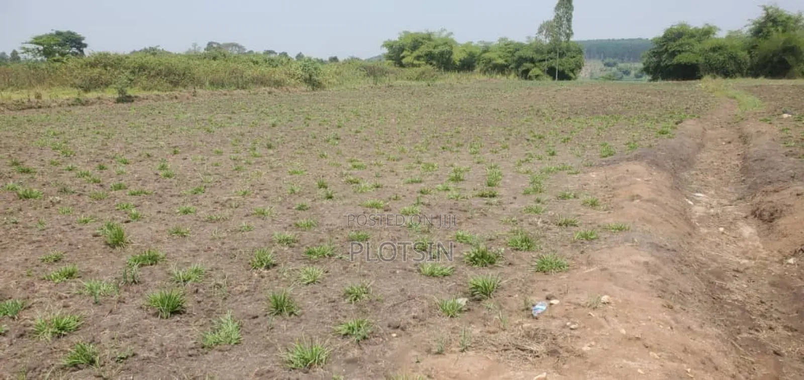 3 Acres Touching the River Nile,Kangulumira, Priced 190million Ugx. in Kayunga / Kayunga