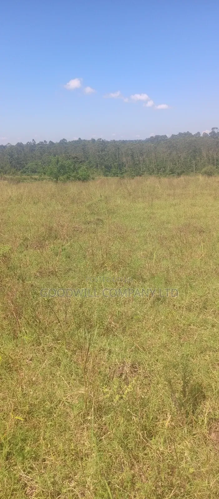 100 Acres of Land in Kiwenda for Sale in Central Division