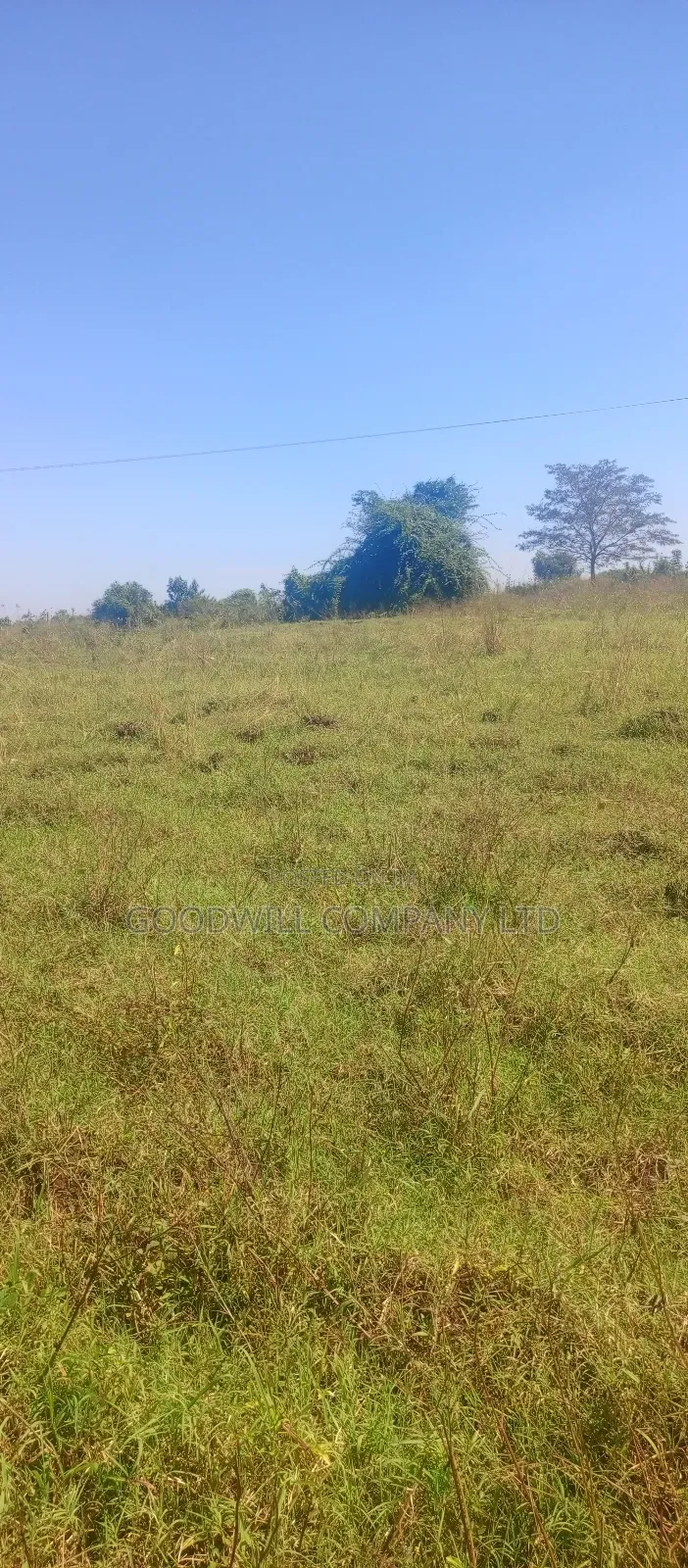 100 Acres of Land in Kiwenda for Sale in Central Division