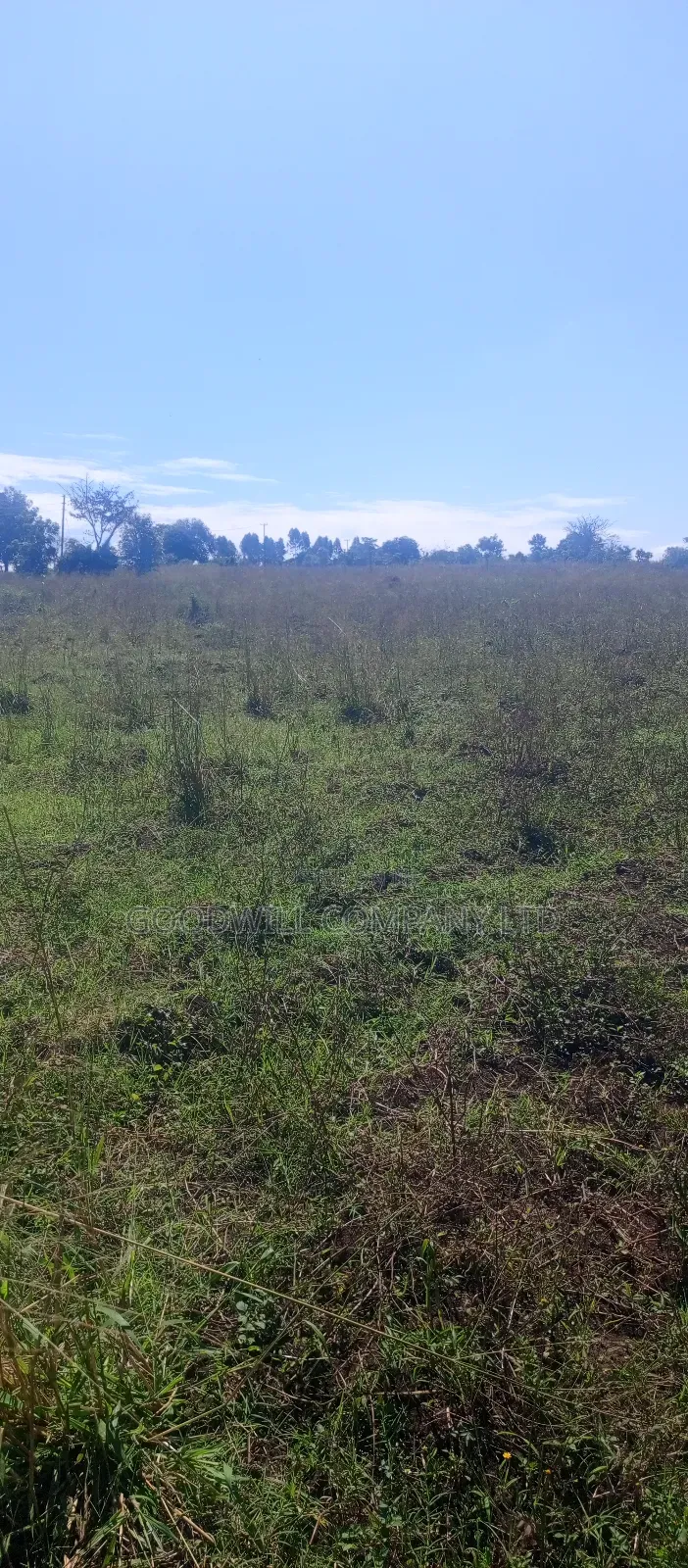 100 Acres of Land in Kiwenda for Sale in Central Division