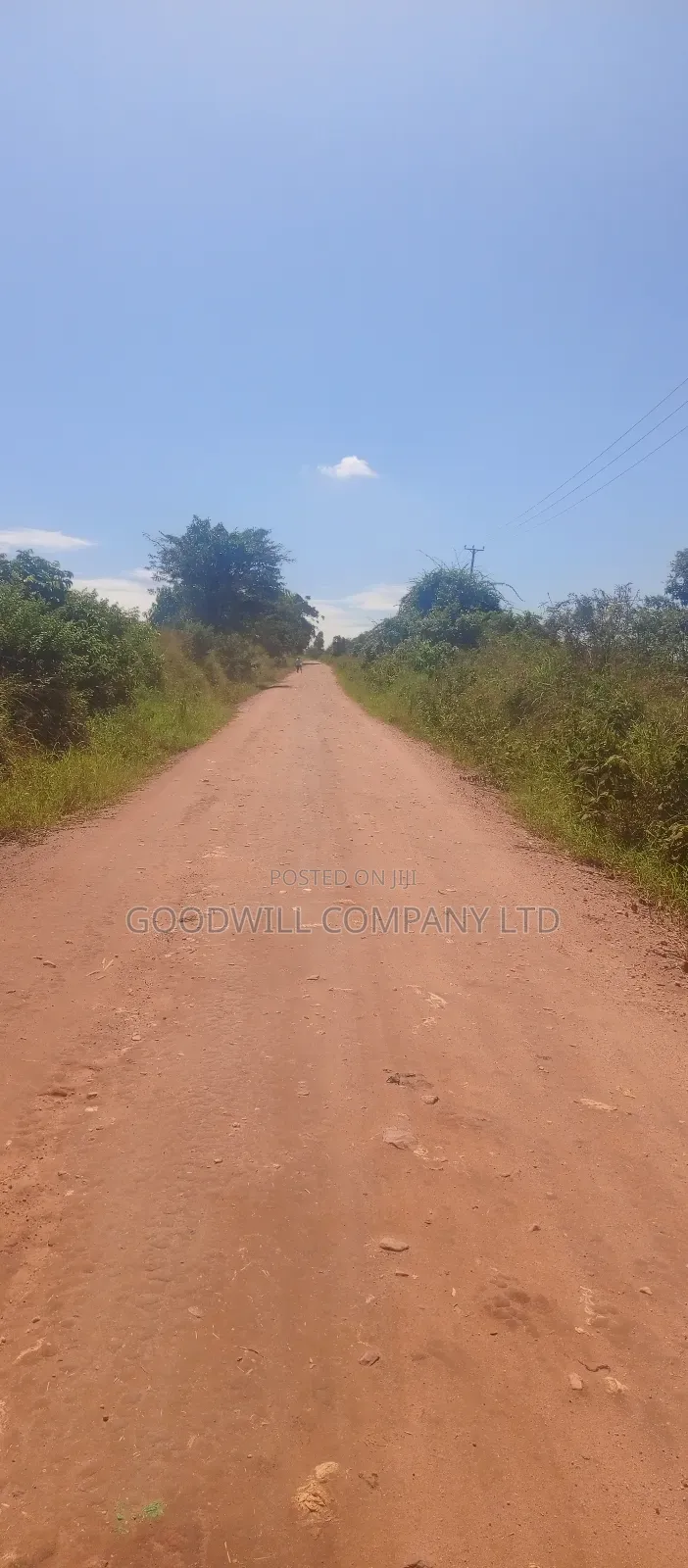 100 Acres of Land in Kiwenda for Sale in Central Division