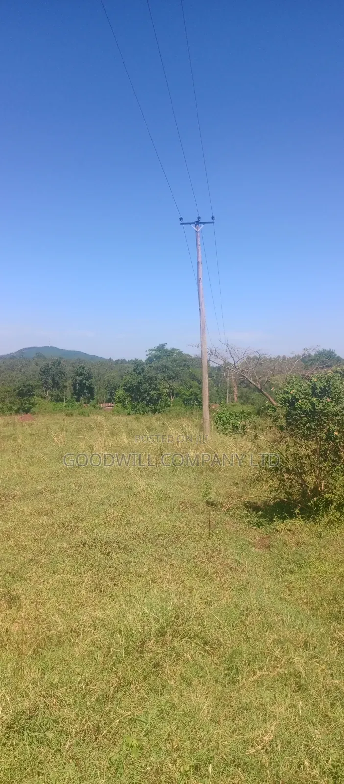 100 Acres of Land in Kiwenda for Sale in Central Division