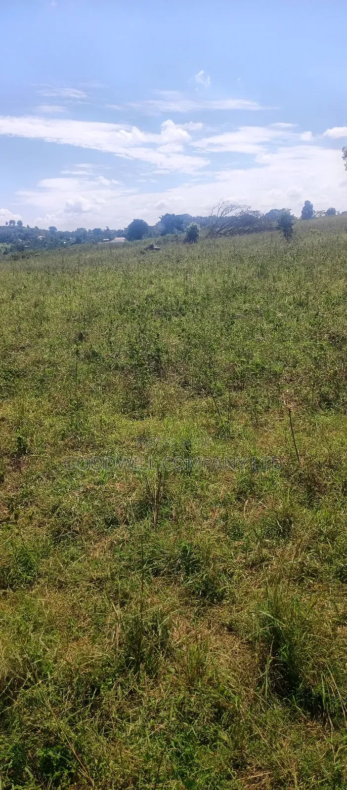 68 Acres of Land in Kiziri After Gayaza in Central Division
