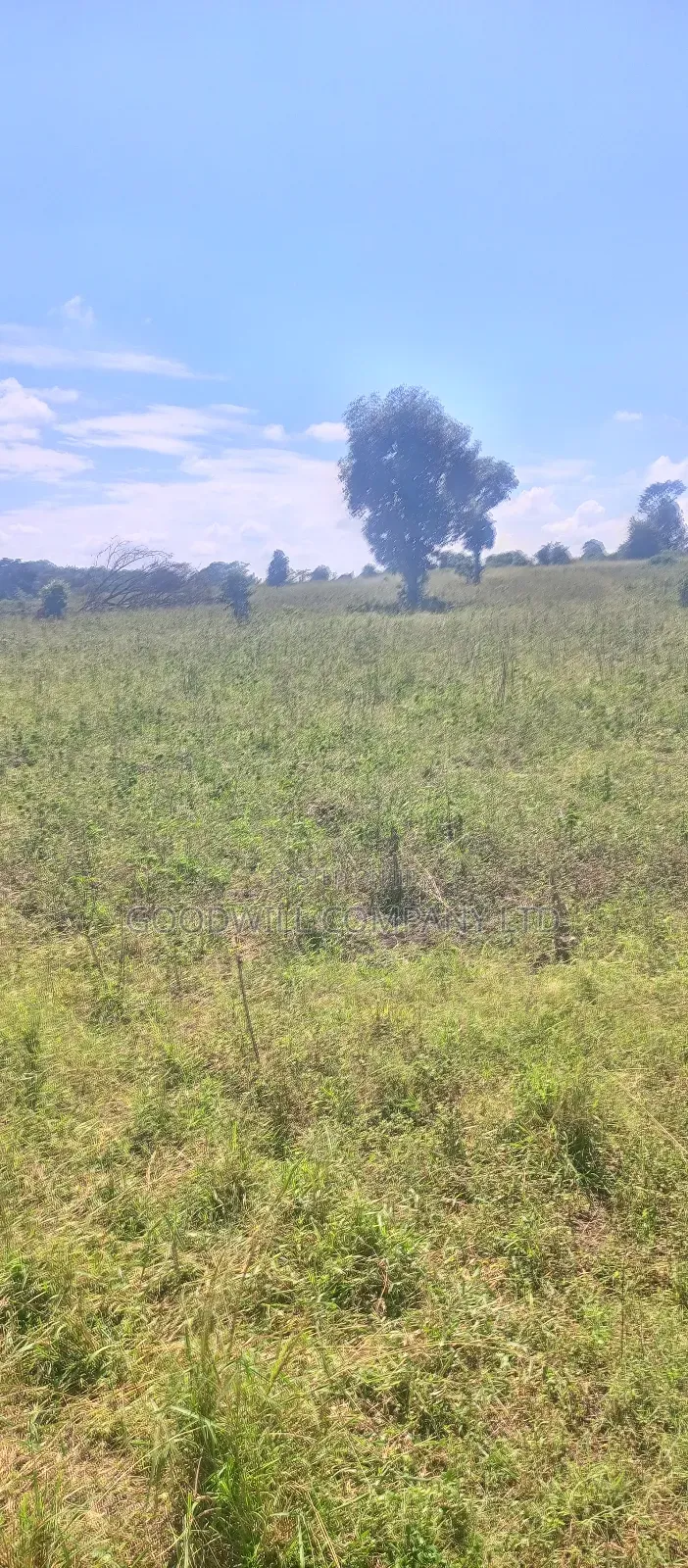 68 Acres of Land in Kiziri After Gayaza in Central Division