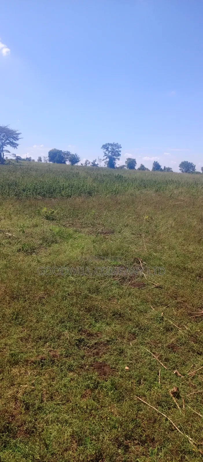 68 Acres of Land in Kiziri After Gayaza in Central Division