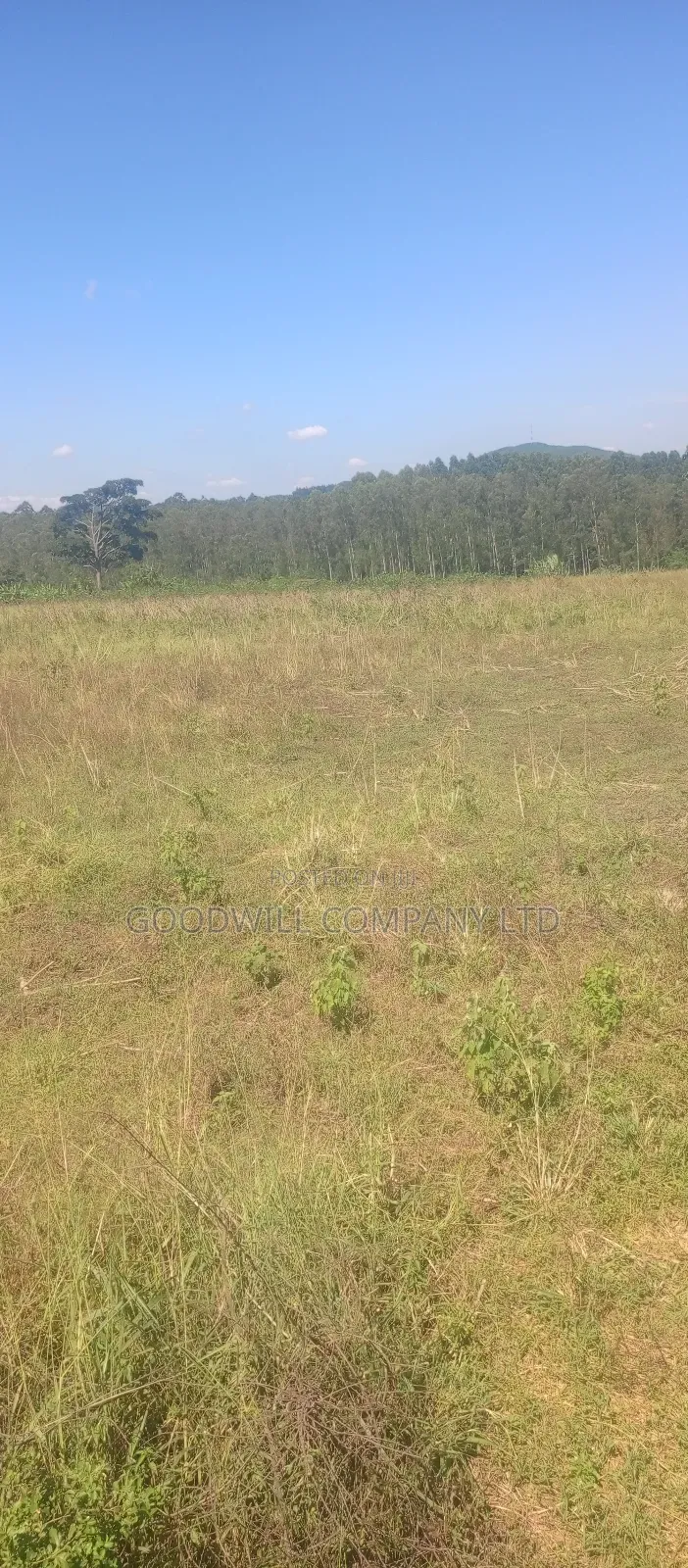 68 Acres of Land in Kiziri After Gayaza in Central Division