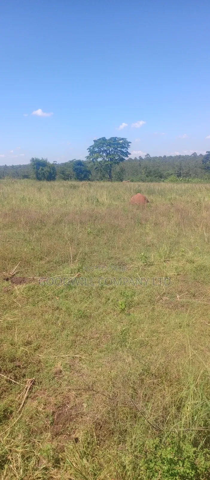 68 Acres of Land in Kiziri After Gayaza in Central Division