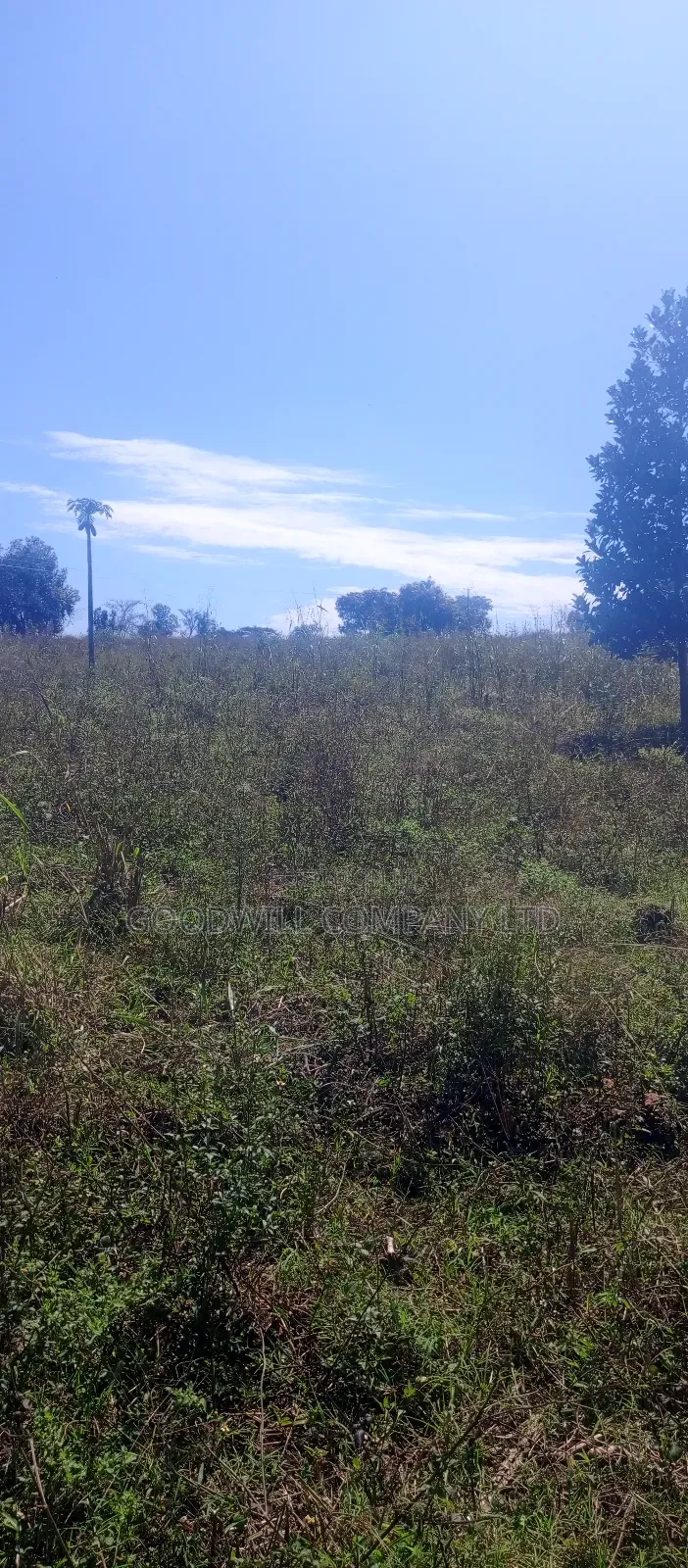 168 Acres of Land in Bugema Behind Bugema University in Central Division