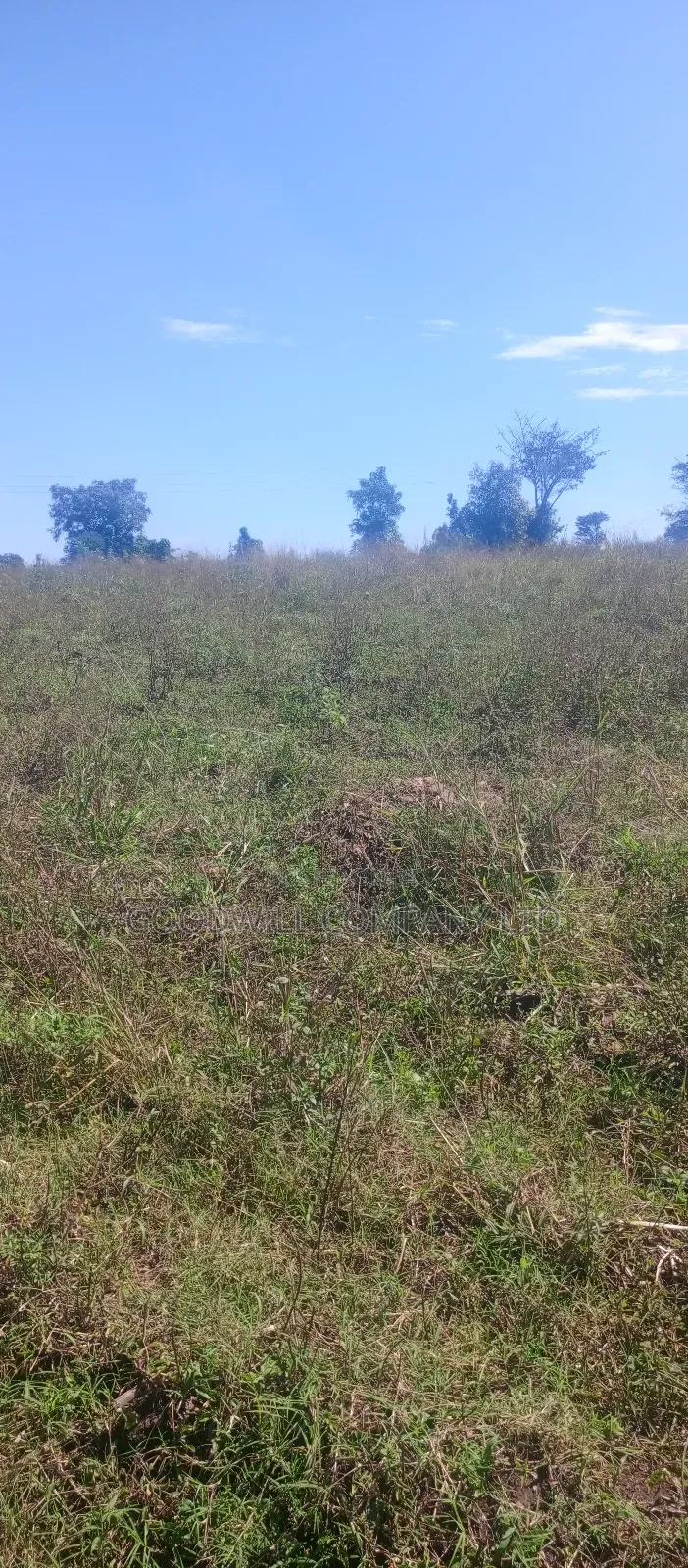 168 Acres of Land in Bugema Behind Bugema University in Central Division