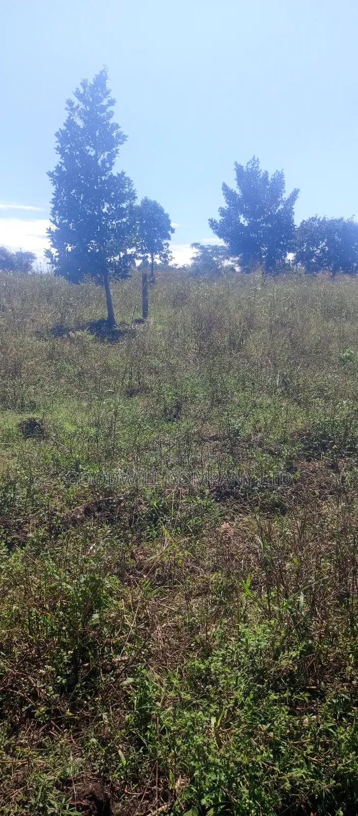 168 Acres of Land in Bugema Behind Bugema University in Central Division