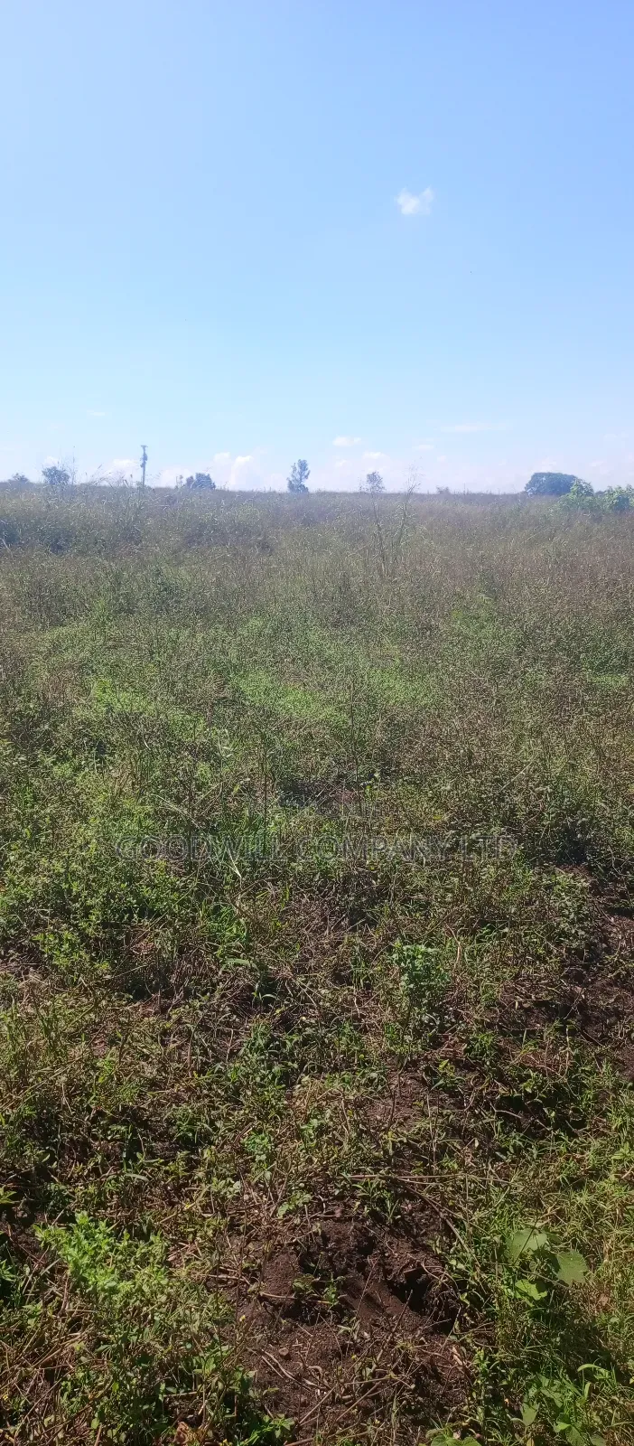 168 Acres of Land in Bugema Behind Bugema University in Central Division