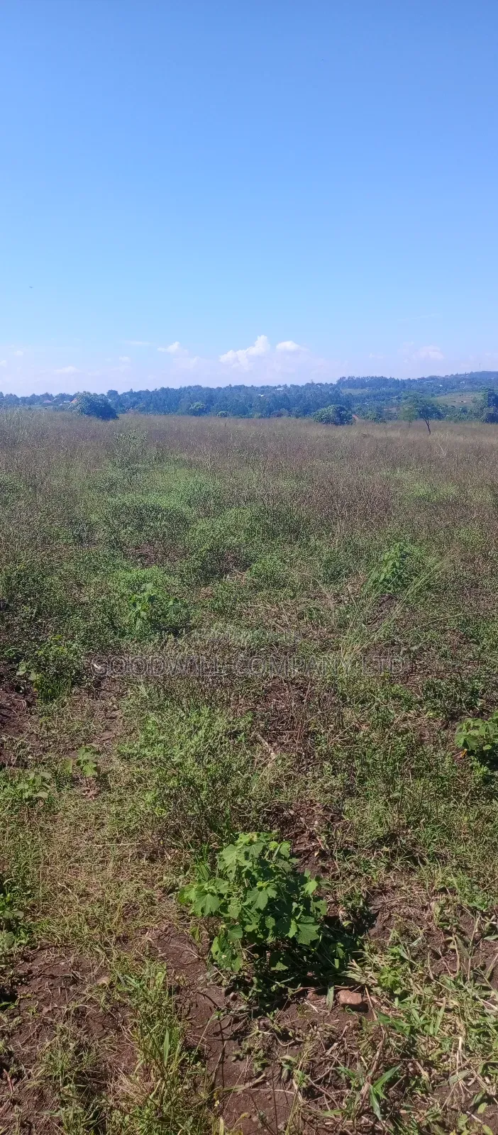 168 Acres of Land in Bugema Behind Bugema University in Central Division