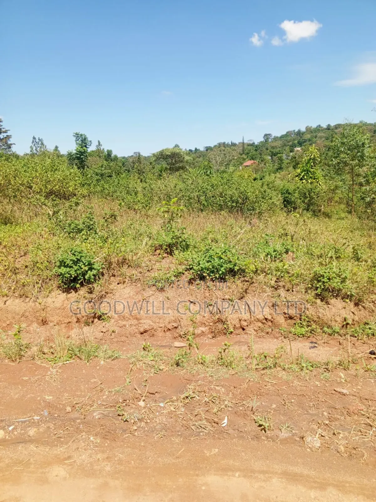 4.95 Acres of Land in Kiwenda Kiziri Touching Feeder Road in Central Division