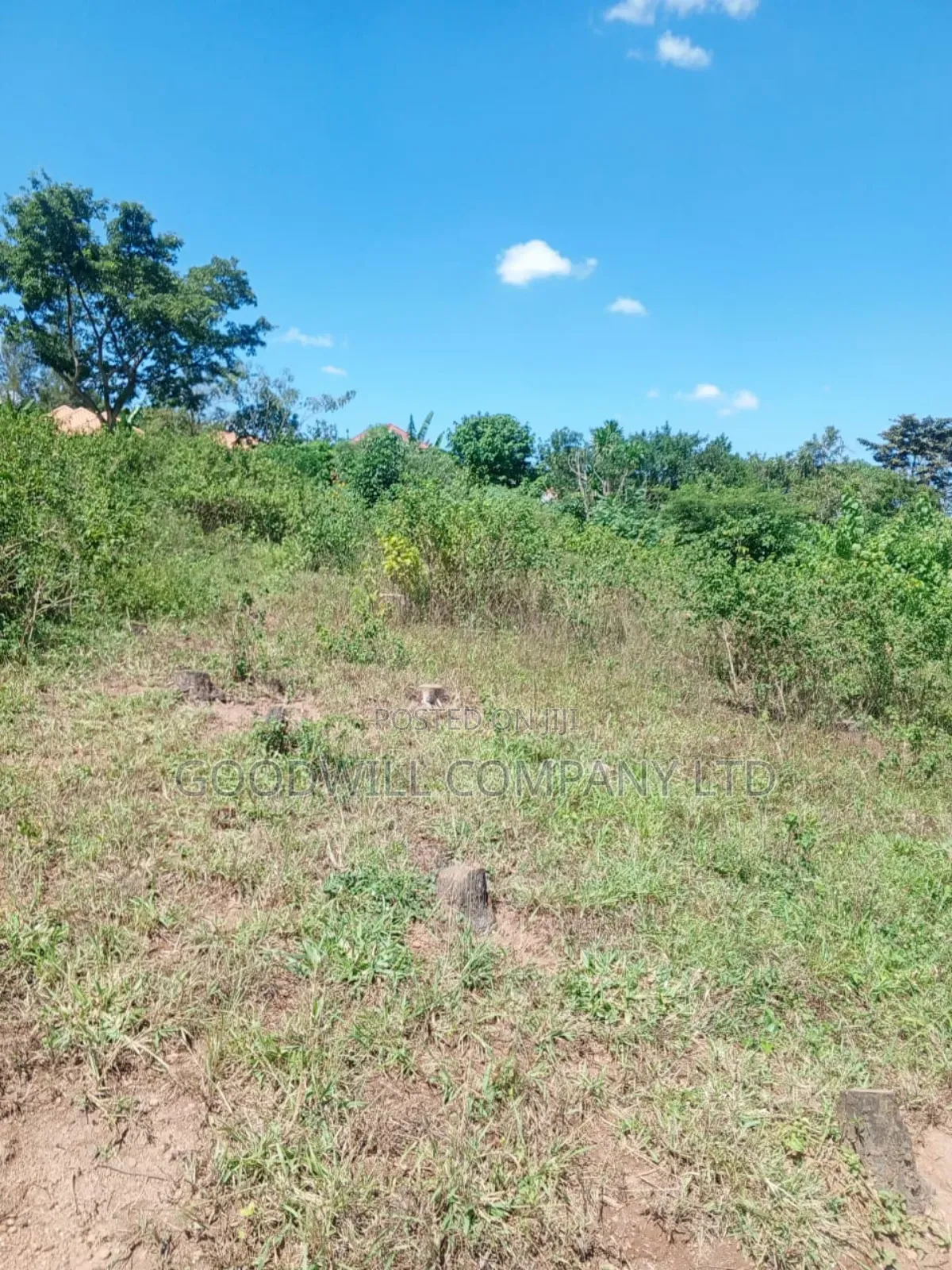 4.95 Acres of Land in Kiwenda Kiziri Touching Feeder Road in Central Division