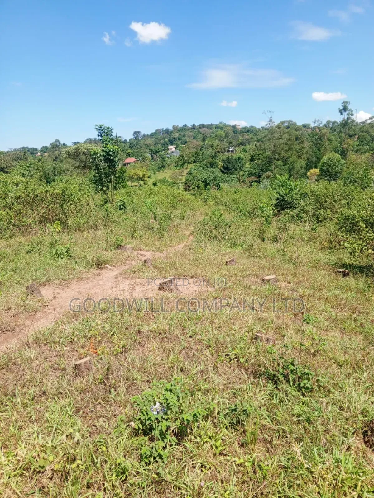 4.95 Acres of Land in Kiwenda Kiziri Touching Feeder Road in Central Division