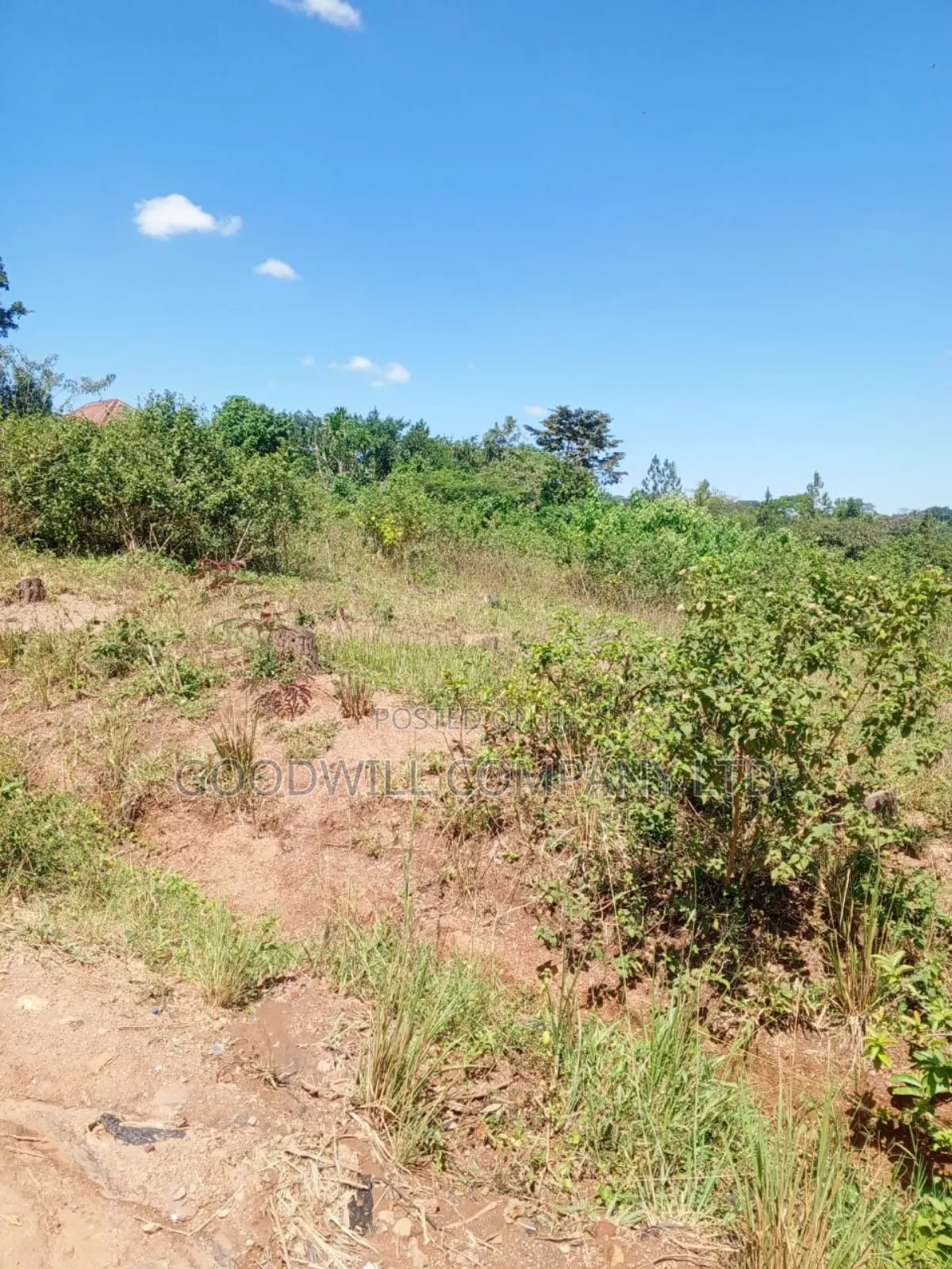 4.95 Acres of Land in Kiwenda Kiziri Touching Feeder Road in Central Division