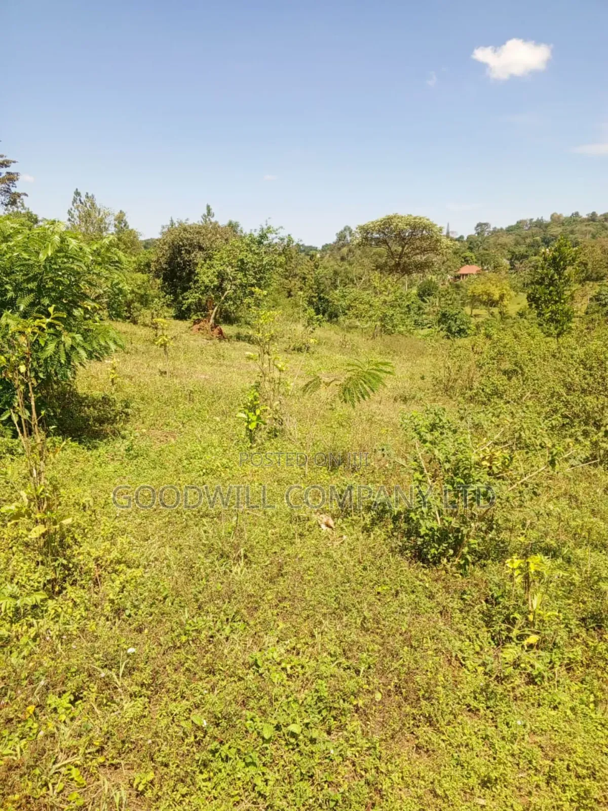 4.95 Acres of Land in Kiwenda Kiziri Touching Feeder Road in Central Division