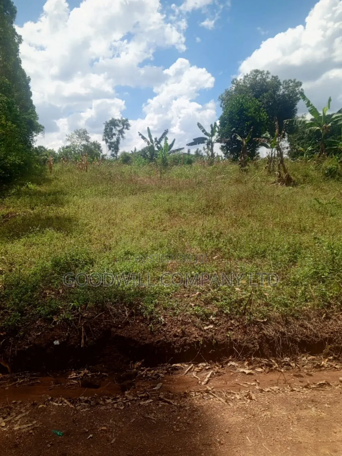 1.35 Acres of Land in Kiziri Kiwenda Gayaza Road in Central Division