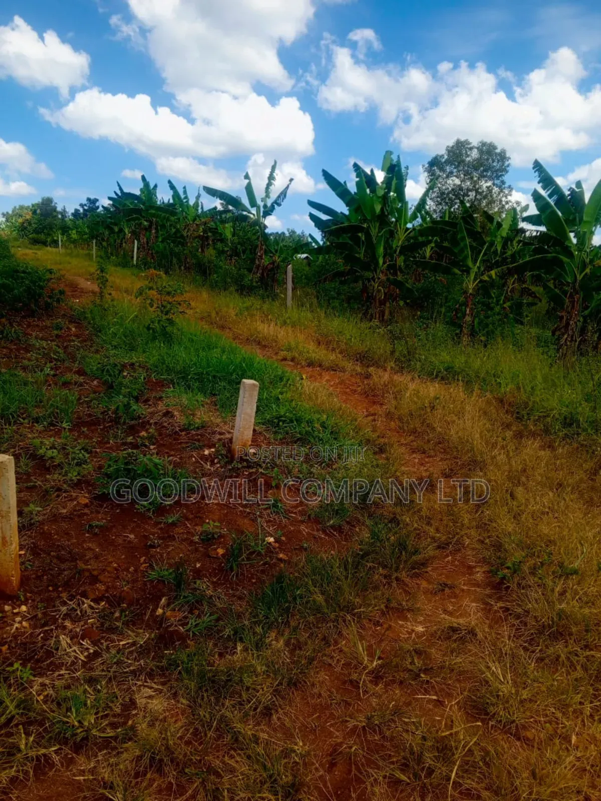 1.5 Acres of Land in Kiwenda Behind the Town in Central Division