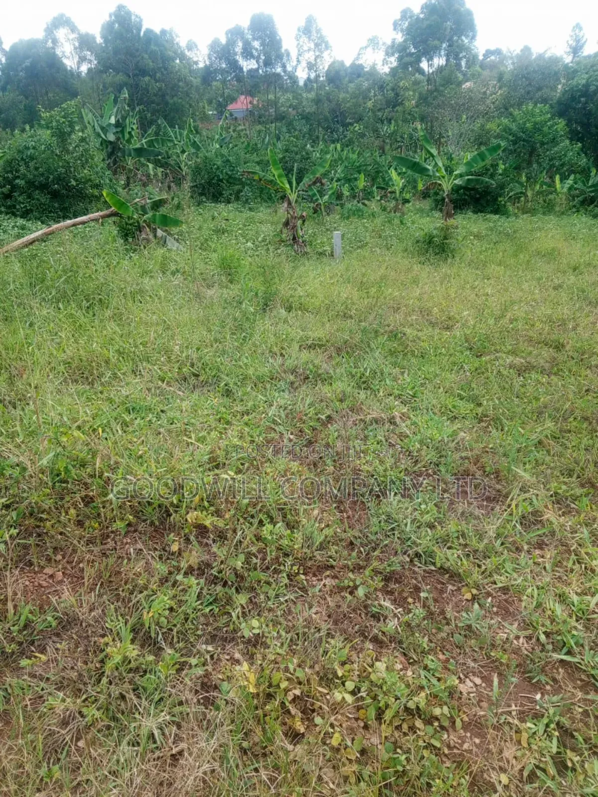 1.5 Acres of Land in Kiwenda Behind the Town in Central Division