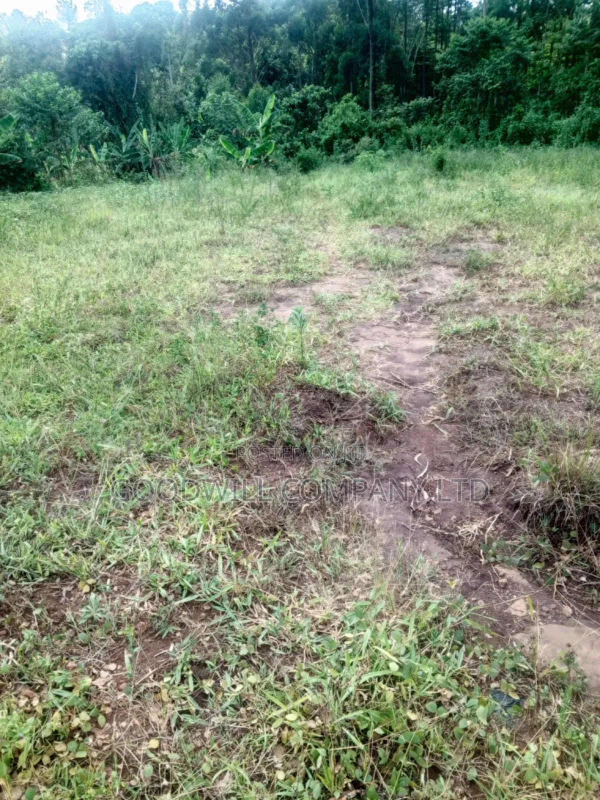 1.5 Acres of Land in Kiwenda Behind the Town in Central Division